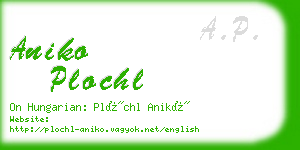 aniko plochl business card